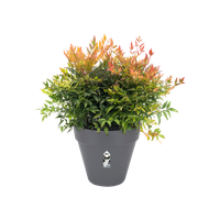 loft urban rond 25cm antraciet